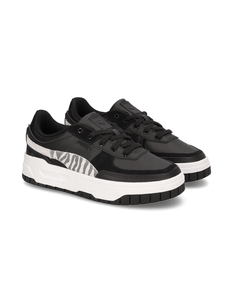 Puma-Cali-Dream-Animal-Wns