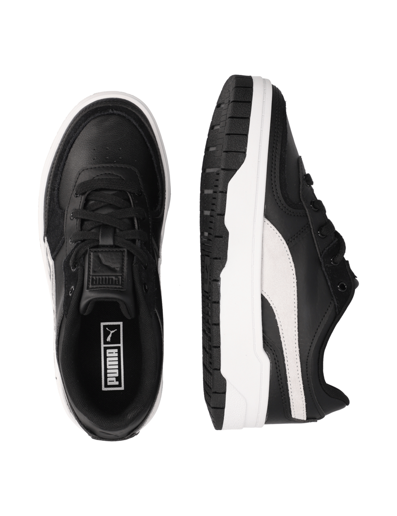 Puma-Cali-Dream-Animal-Wns