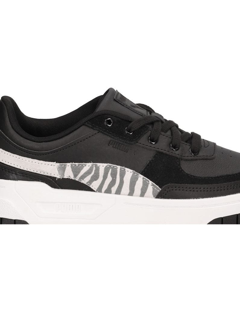 Puma-Cali-Dream-Animal-Wns