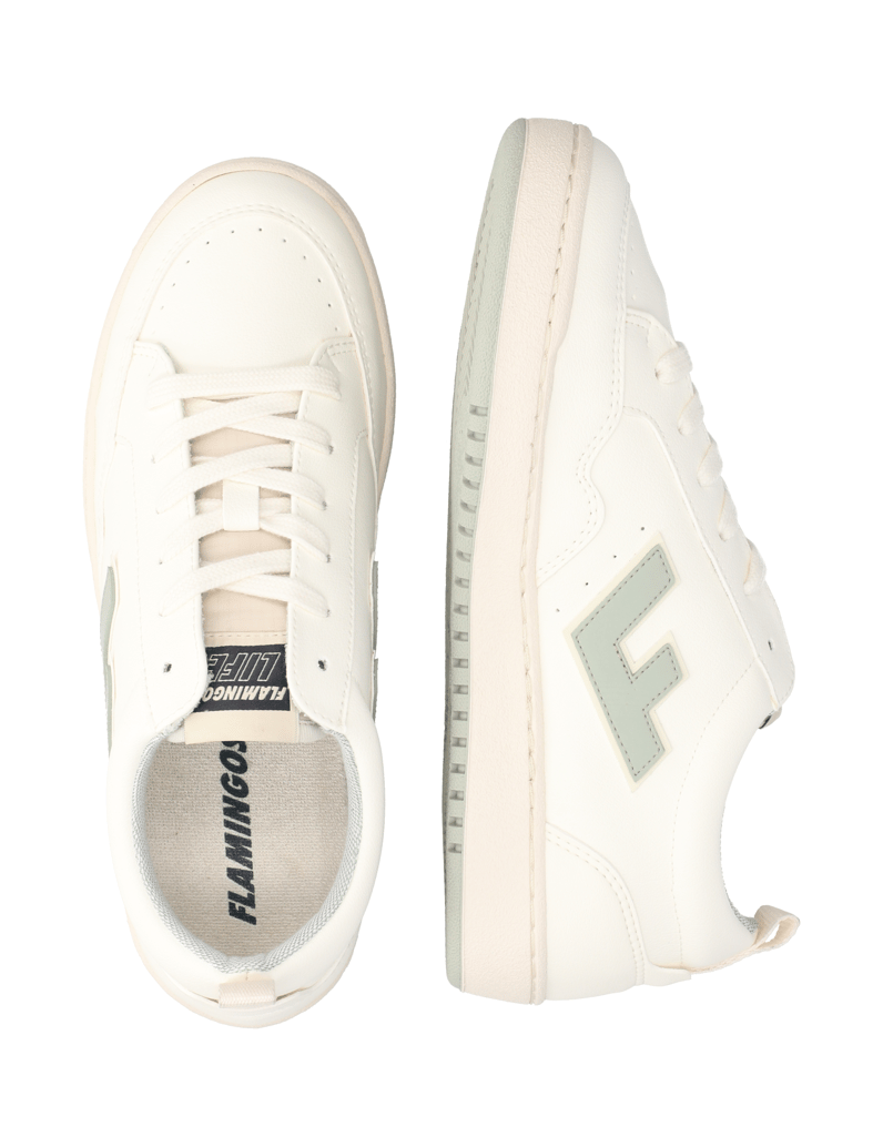 Flamingos‘-Life-ROLAND-V.10