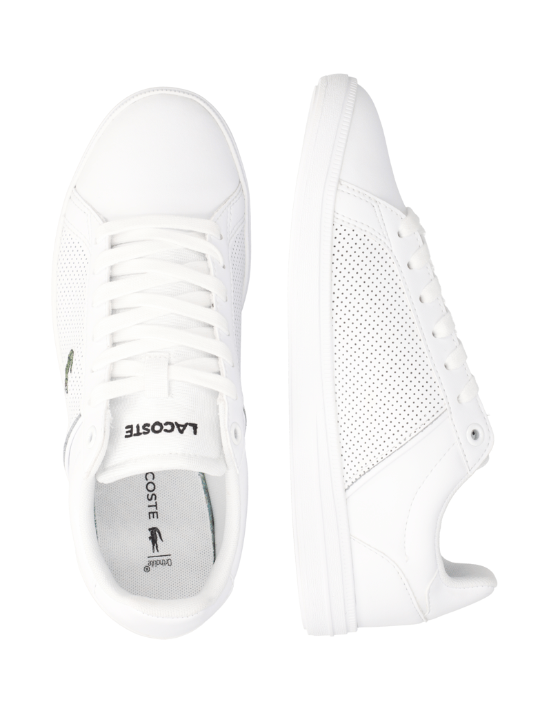 LACOSTE-EURO-BASE-bela