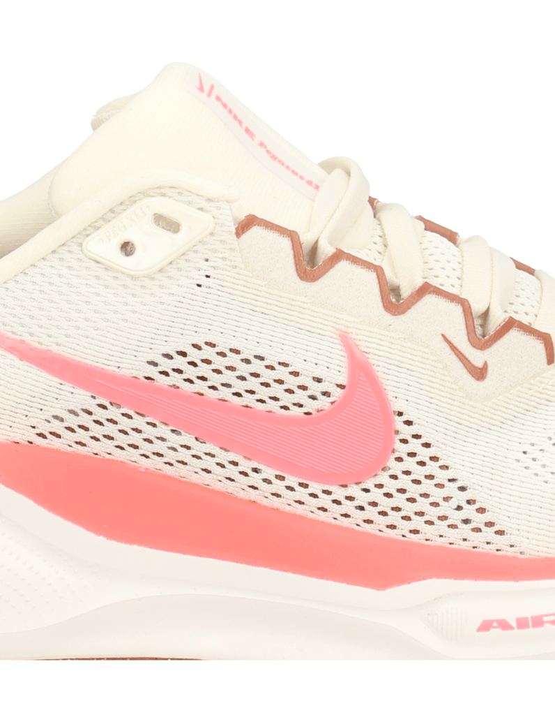 Nike-PEGASUS-41-blau