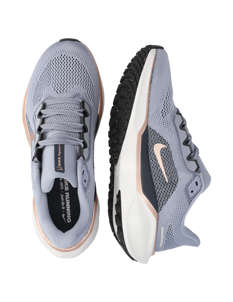 Nike-PEGASUS-41-blau