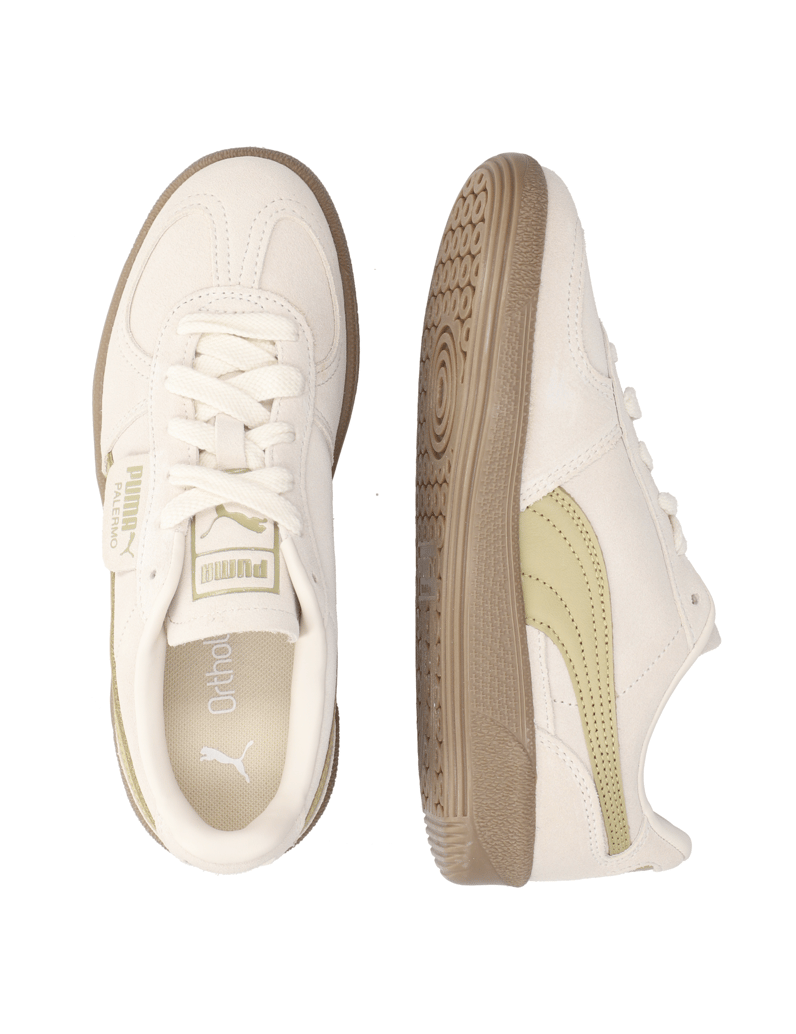 Puma-Palermo-meta