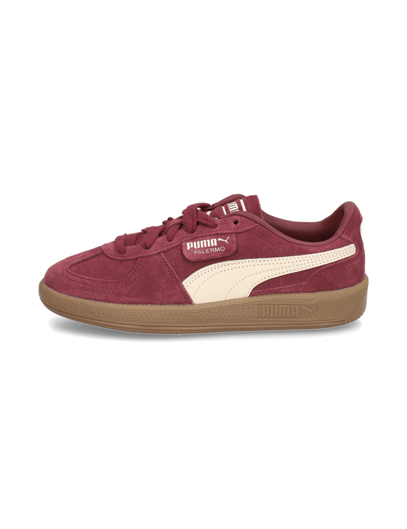 Puma-PALERMO-meta