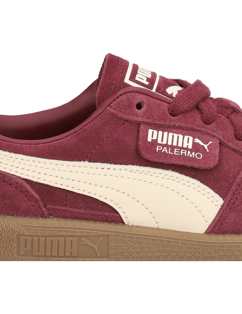 Puma-PALERMO-meta
