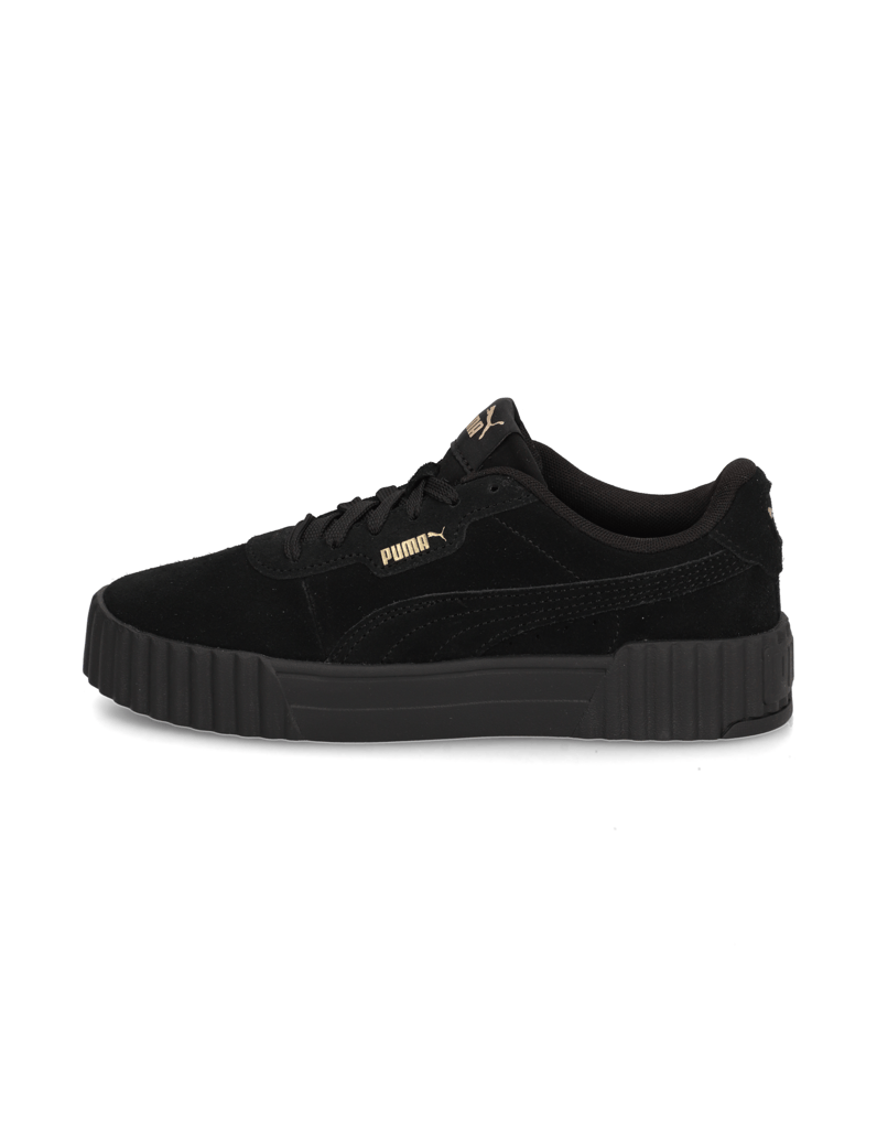 Puma-Carina-3.0-SD-bež