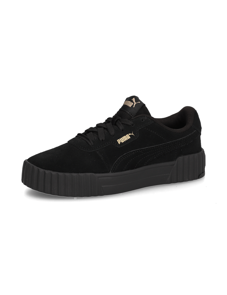 Puma-Carina-3.0-SD-bež