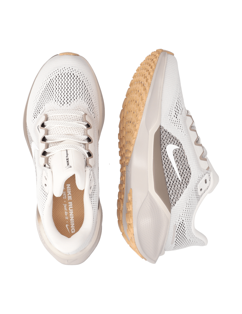 Nike-Nike-Pegasus-41-beige