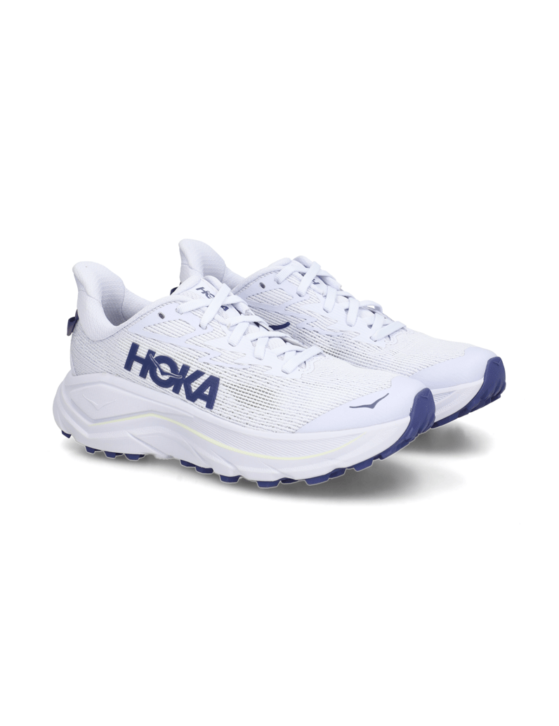 HOKA-Challenger-8-siva
