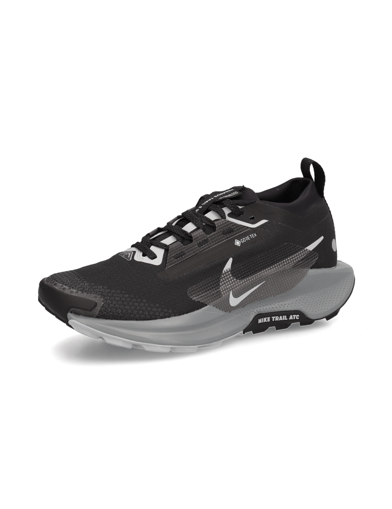Nike-Nike-Pegasus-Trail-5-GORE-TEX-schwarz