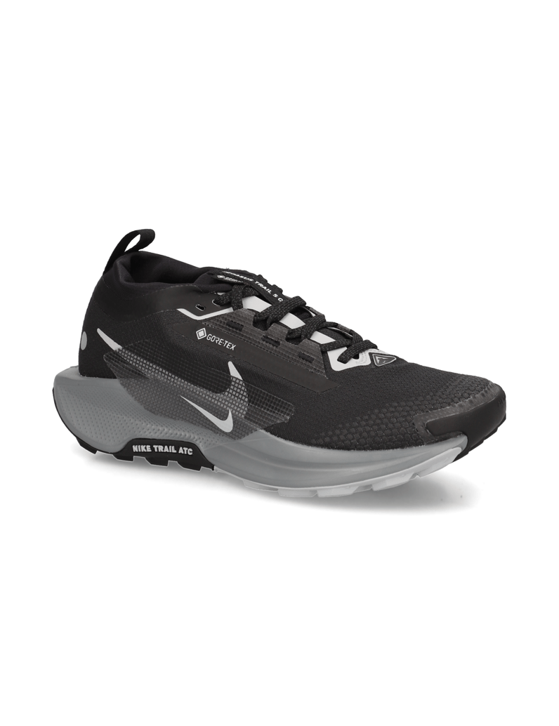 Nike-Nike-Pegasus-Trail-5-GORE-TEX-schwarz