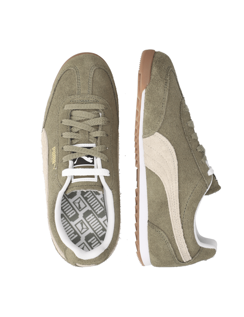 Puma-Arizona-SD-kaki