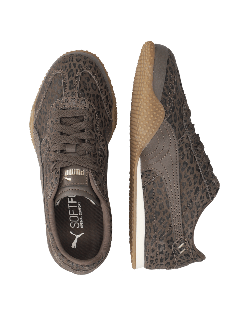Puma-Bella-UT-Cat-Wns-siva