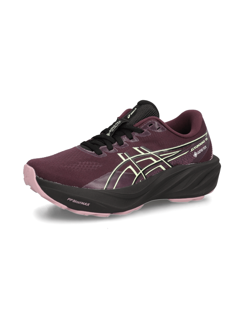 Asics-GT-2000-15-GTX-vijolična