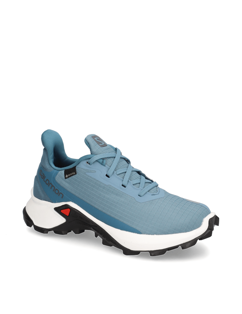 Salomon-ALPHACROSS-3-GTX-W