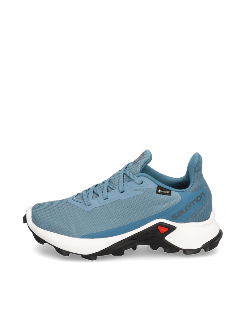 Salomon-ALPHACROSS-3-GTX-W