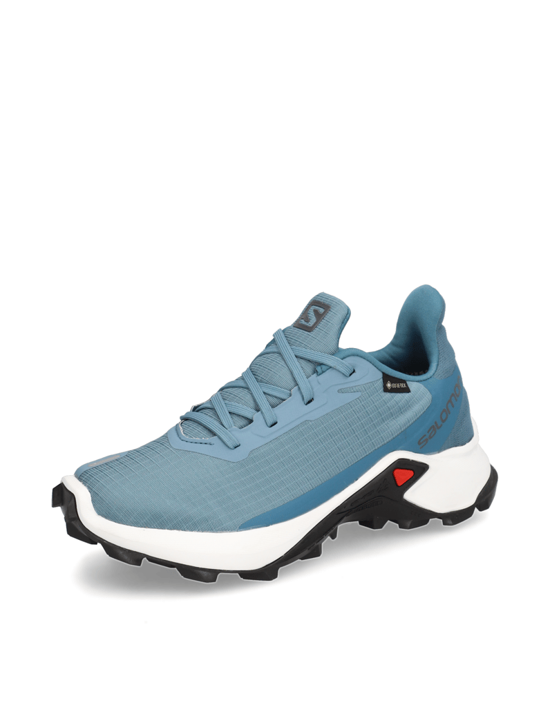 Salomon-ALPHACROSS-3-GTX-W