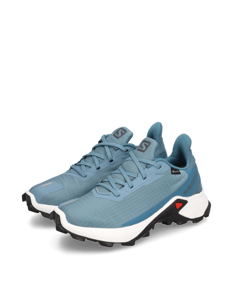 Salomon-ALPHACROSS-3-GTX-W