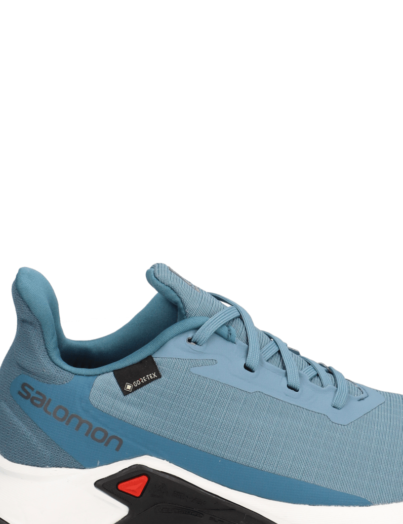 Salomon-ALPHACROSS-3-GTX-W