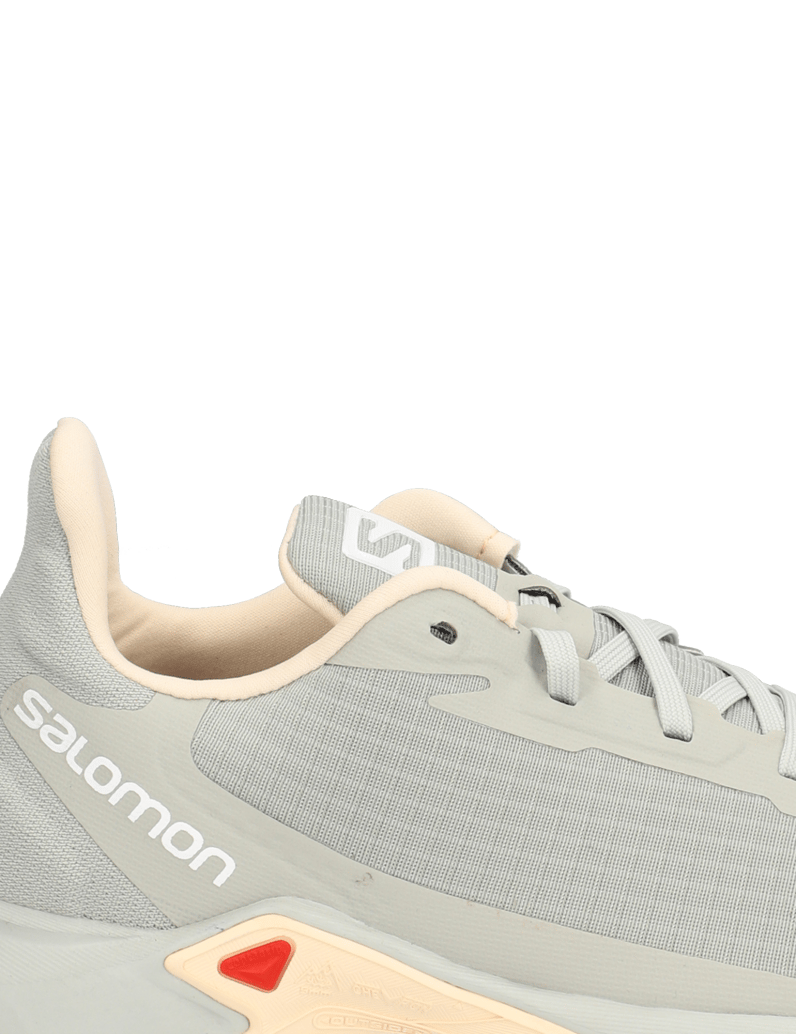 Salomon-ALPHACROSS-3-W