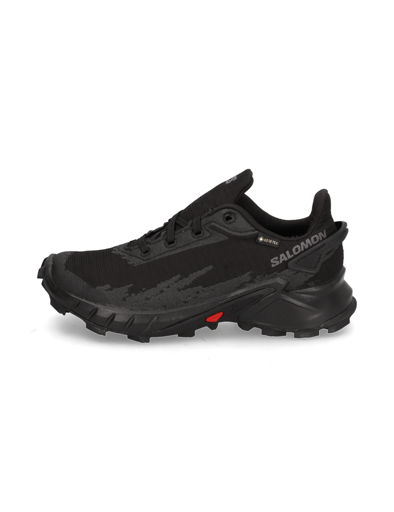 Salomon-ALPHACROSS-4-GTX-W