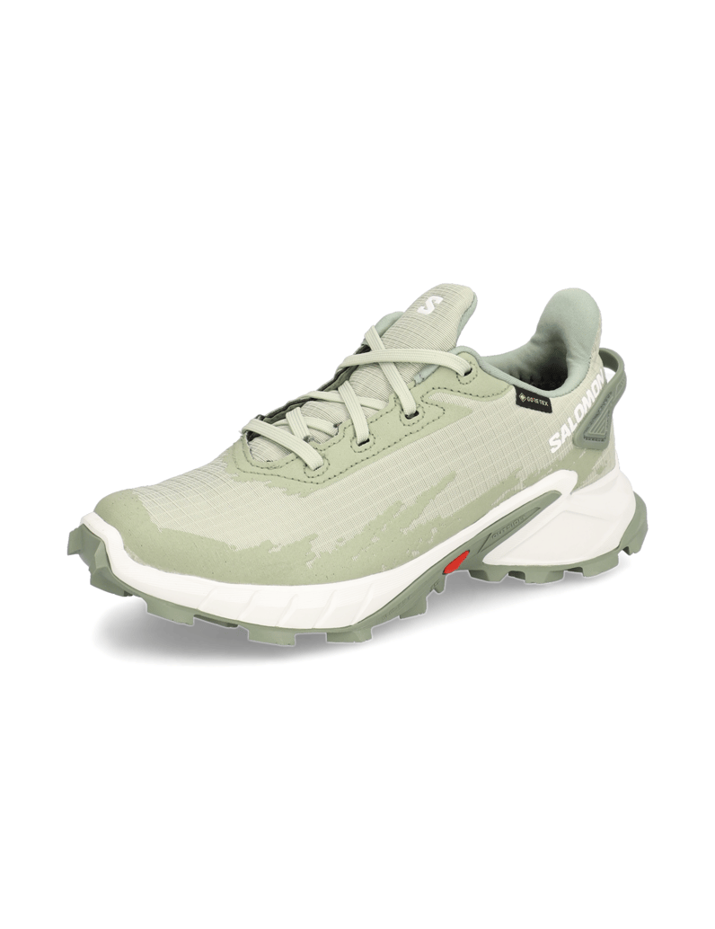 Salomon-ALPHACROSS-4-GORE-TEX