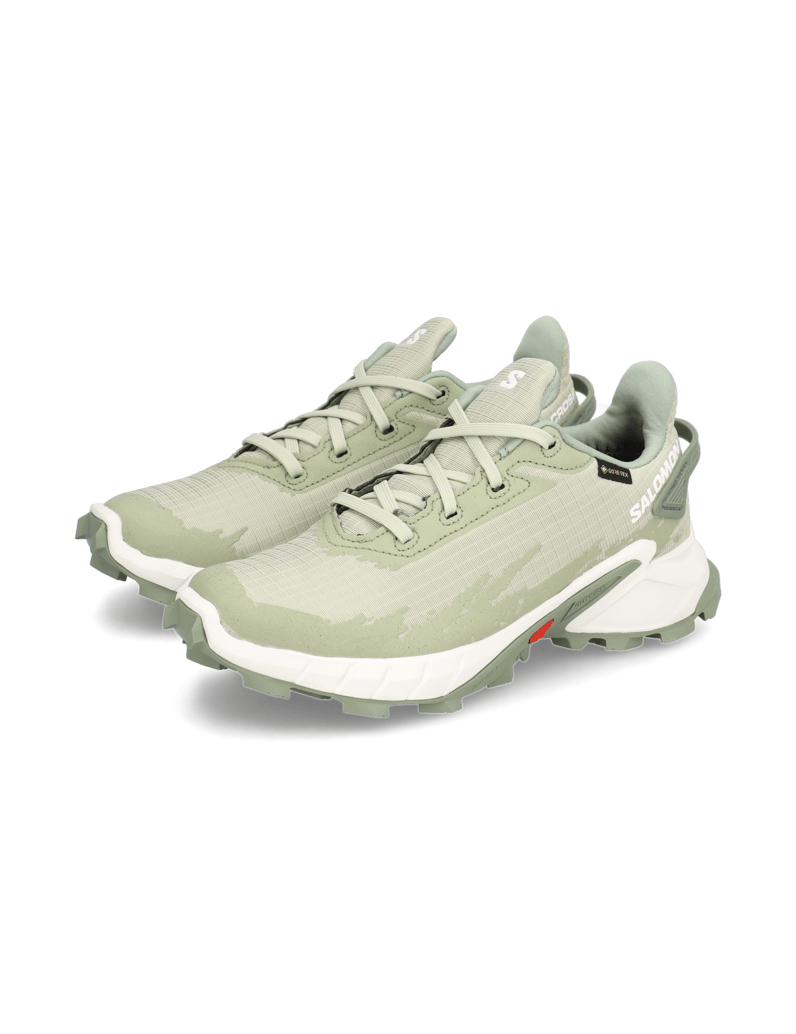 Salomon-ALPHACROSS-4-GORE-TEX