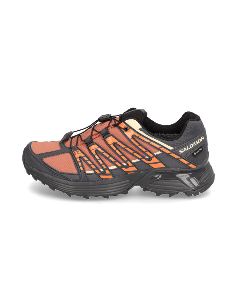 Salomon-XT-RECKON-GTX-W