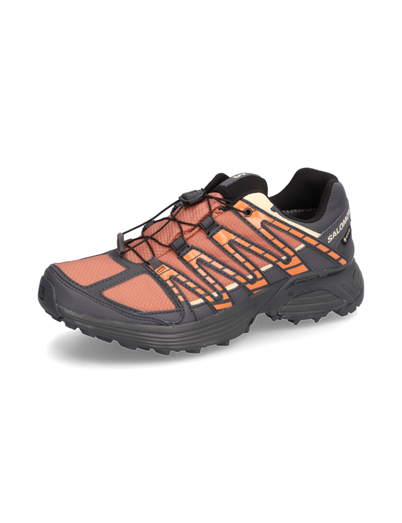 Salomon-XT-RECKON-GTX-W
