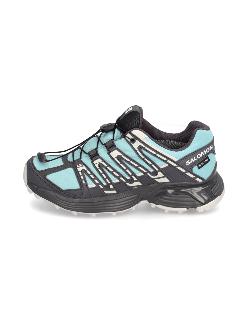 Salomon-XT-RECKON-GORE-TEX