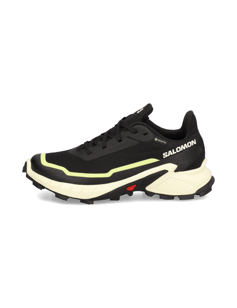 Salomon-ALPHACROSS-5-GTX-W