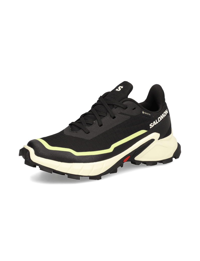 Salomon-ALPHACROSS-5-GTX-W