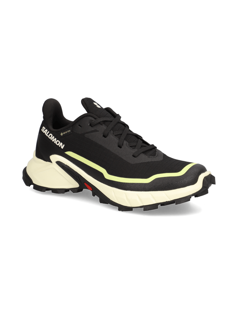 Salomon-ALPHACROSS-5-GTX-W