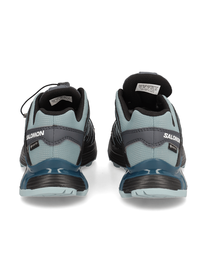 Salomon-XT-BACKBONE-PRIME-GTX-W-türkis