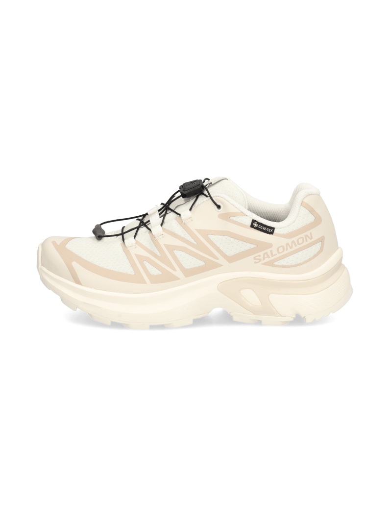 Salomon-XT-EVR-GTX-schwarz