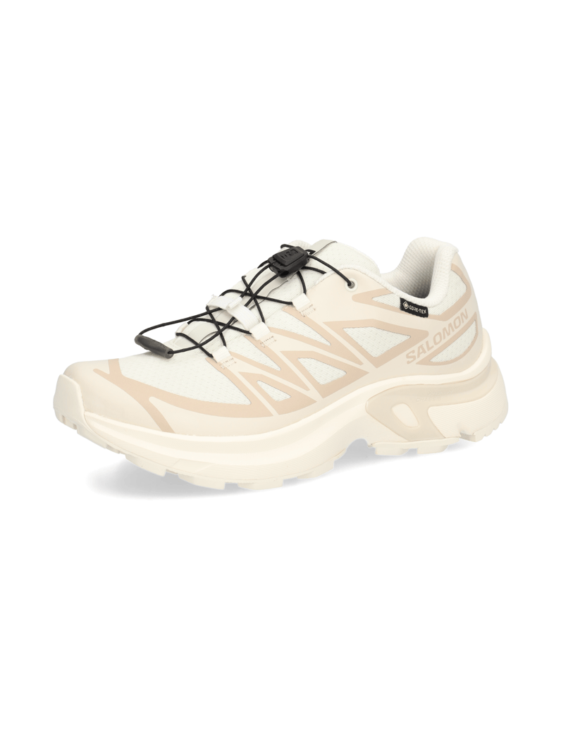 Salomon-XT-EVR-GTX-schwarz