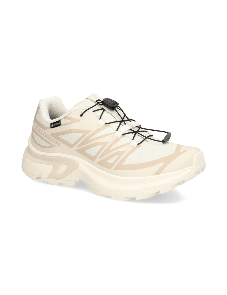 Salomon-XT-EVR-GTX-schwarz