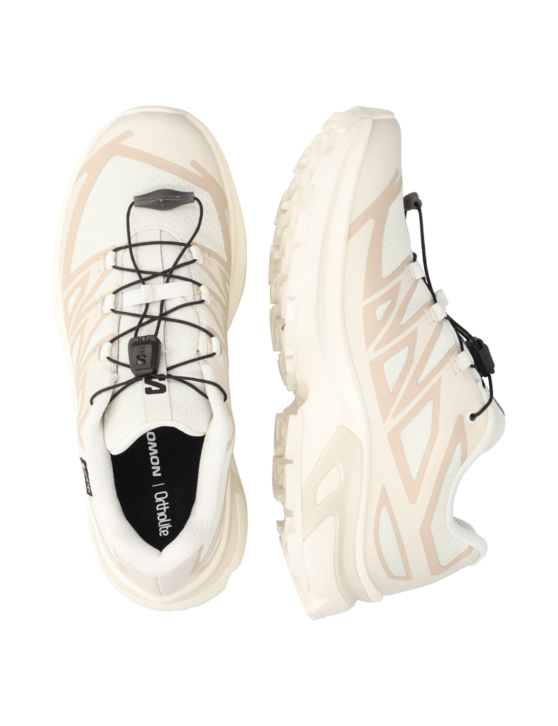 Salomon-XT-EVR-GTX-schwarz