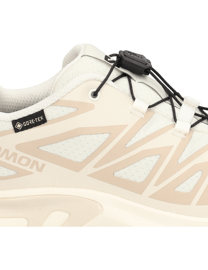 Salomon-XT-EVR-GTX-schwarz