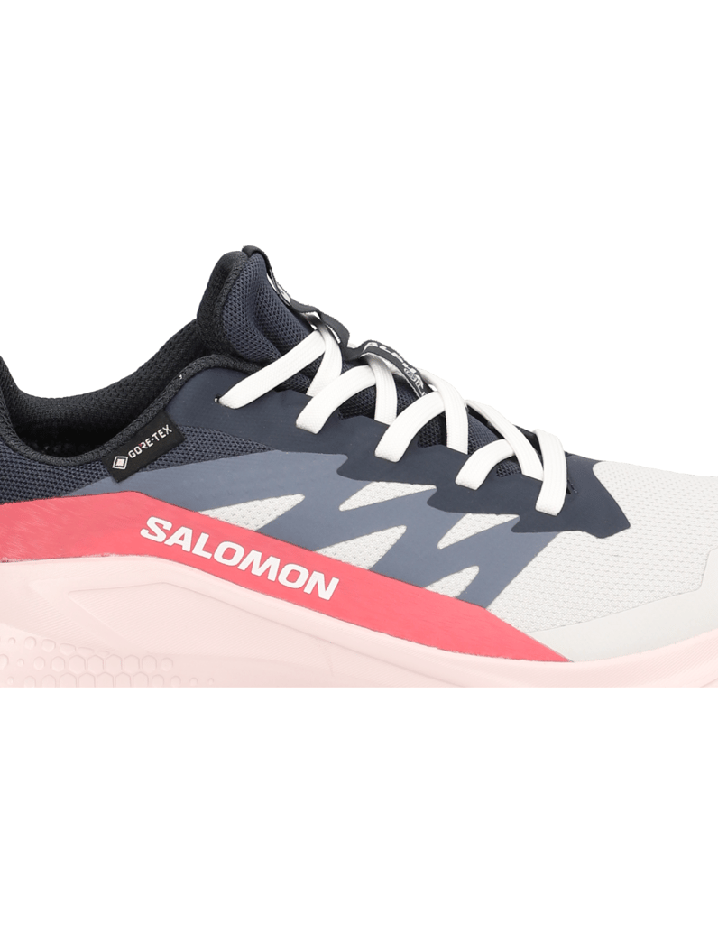 Salomon-ALPHAGLIDE-GTX-W-schwarz