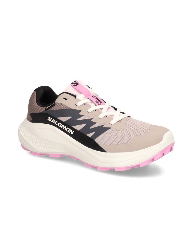 Salomon-ALPHAGLIDE-GTX-W-schwarz