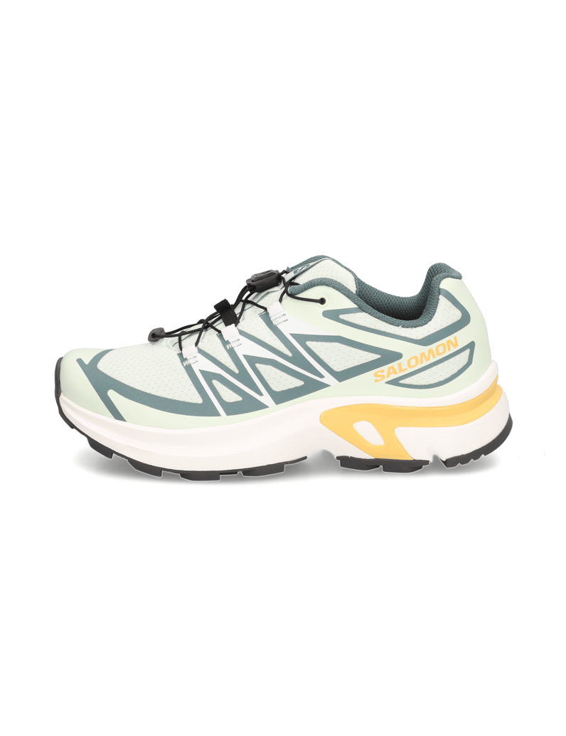 Salomon-XT-EVR-meta