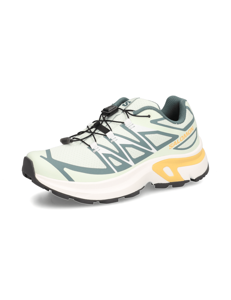 Salomon-XT-EVR-meta