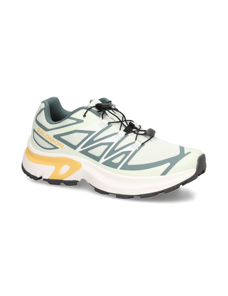 Salomon-XT-EVR-meta