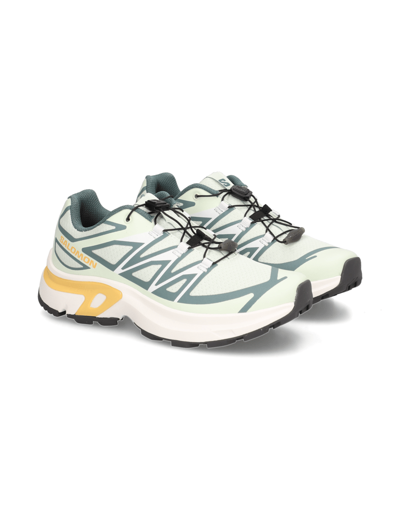 Salomon-XT-EVR-meta