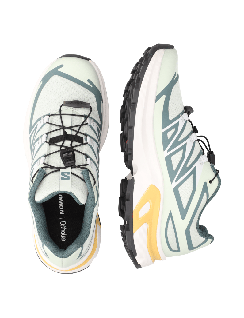 Salomon-XT-EVR-meta