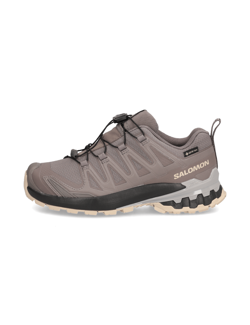 Salomon-XA-PRO-3D-V9-GTX-W-grau