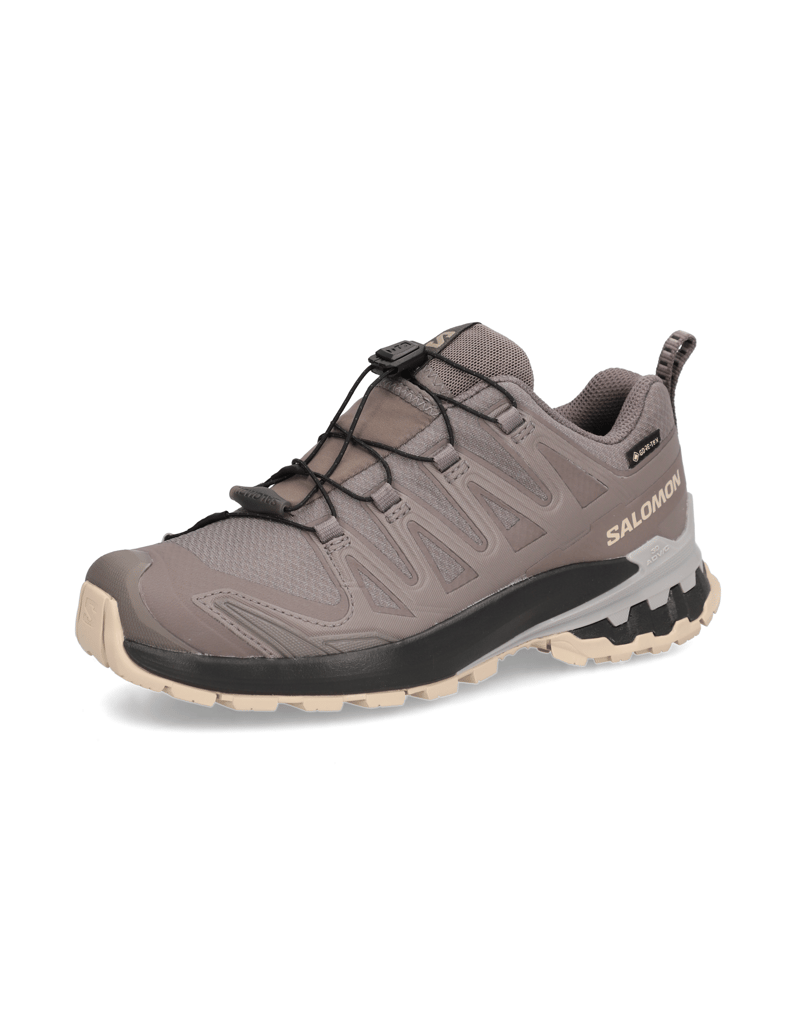Salomon-XA-PRO-3D-V9-GTX-W-grau