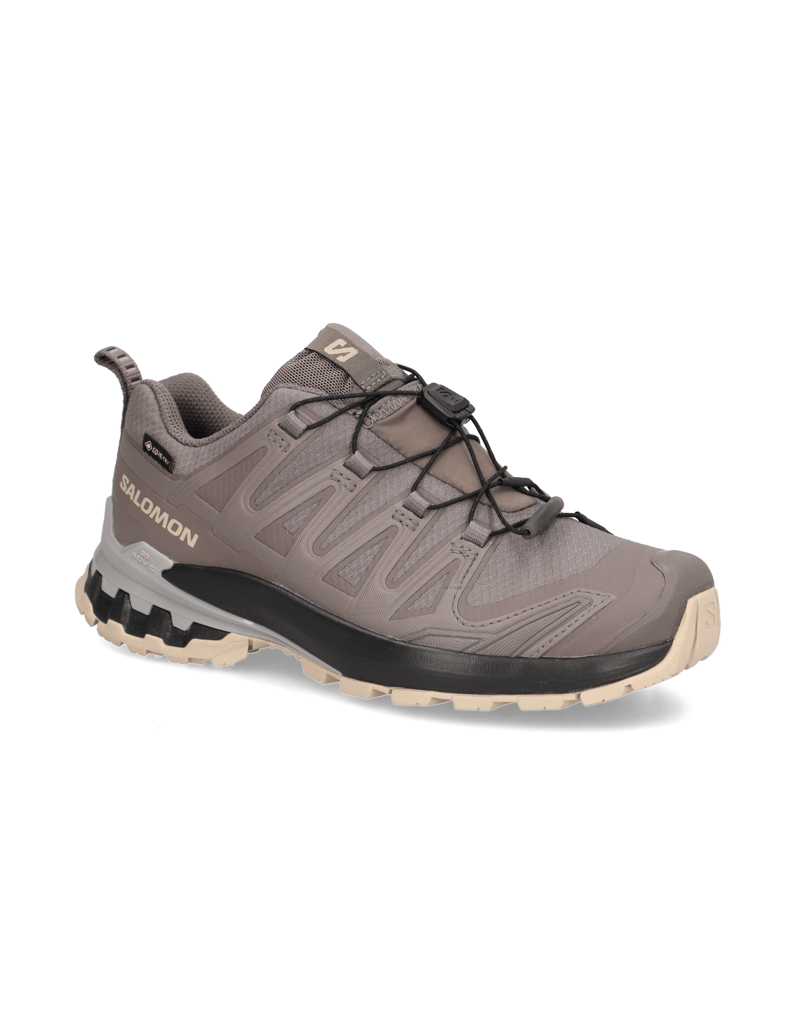 Salomon-XA-PRO-3D-V9-GTX-W-grau